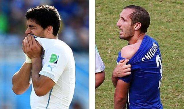 了主帅小因 了主帅小因