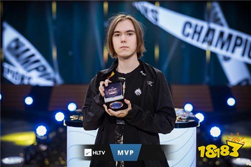 多伦多蓝鸟 多伦多蓝鸟